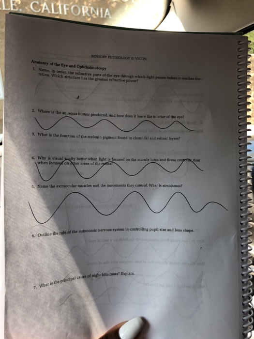 Solved Sensory Physiology Vision 4 Blind Spot What Causes Chegg