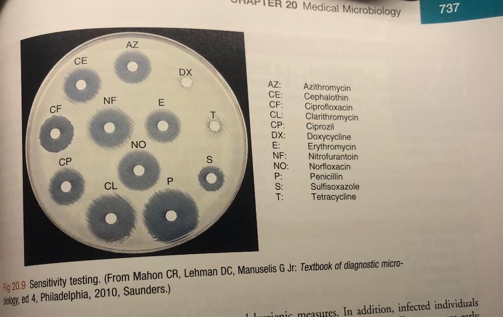 Solved B. Sensitivity Testing Refer To Figure 20-9 Of The | Chegg.com