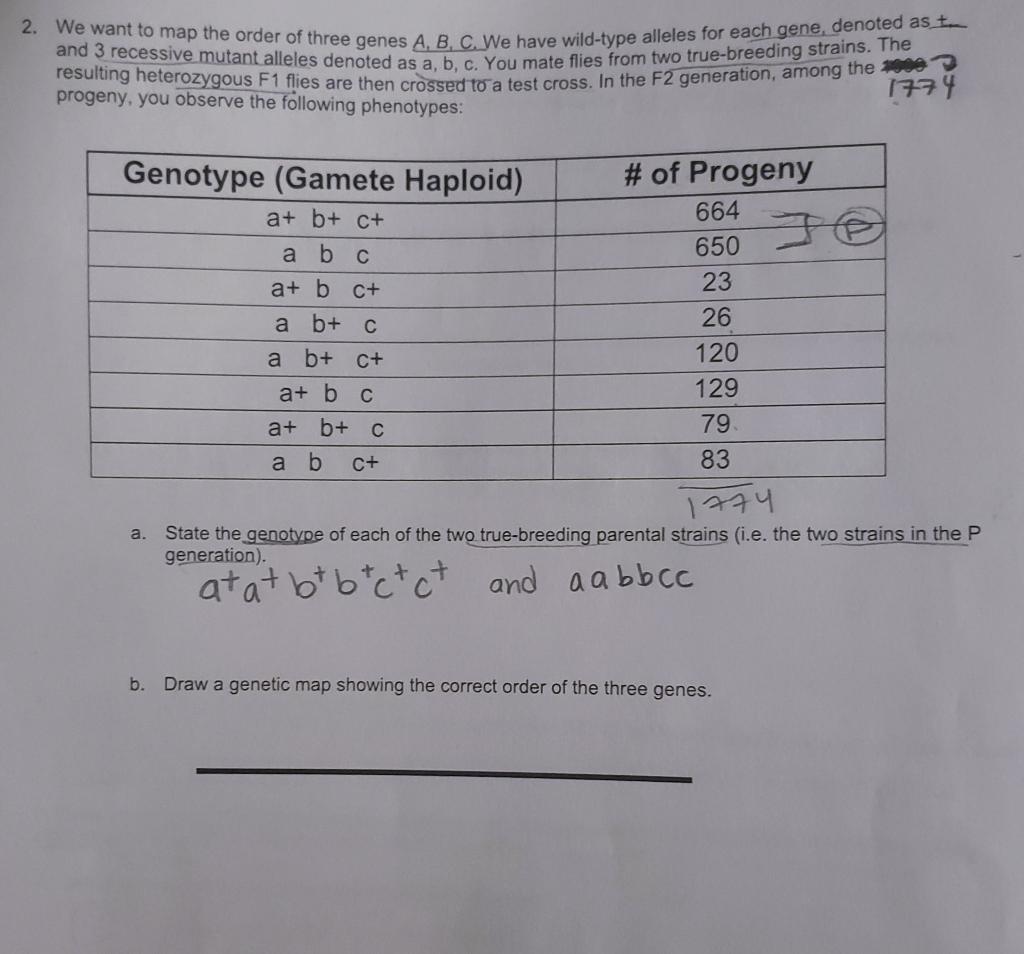 Solved We Want To Map The Order Of Three Genes A,B,C. We | Chegg.com