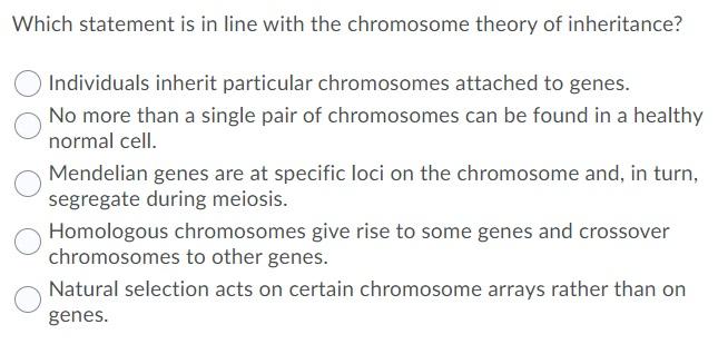 chromosome theory of inheritance