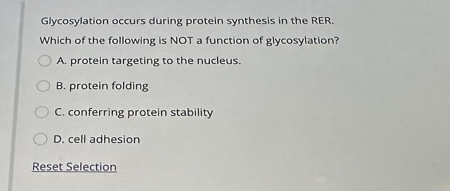 Solved Place she following steps of protein import into the | Chegg.com