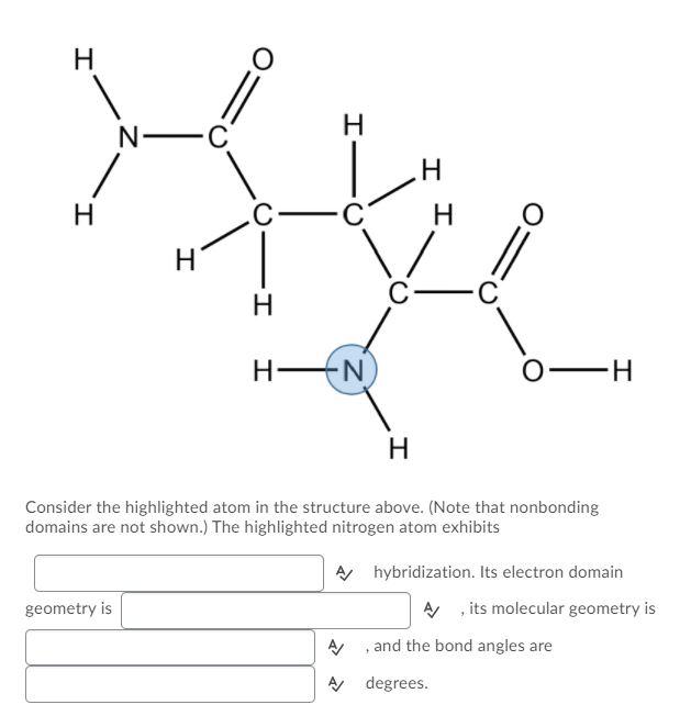 Solved H N H Н. H C с H H Н. -C H-N 0-H Н. Consider the | Chegg.com