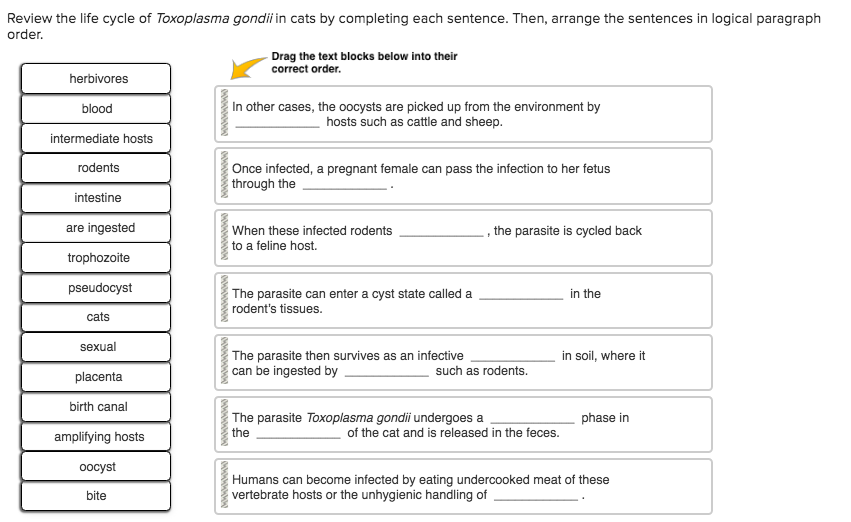 solved-review-the-life-cycle-of-toxoplasma-gondii-in-cats-by-chegg