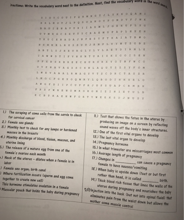 Solved Write the vocabulary word next to the definition.