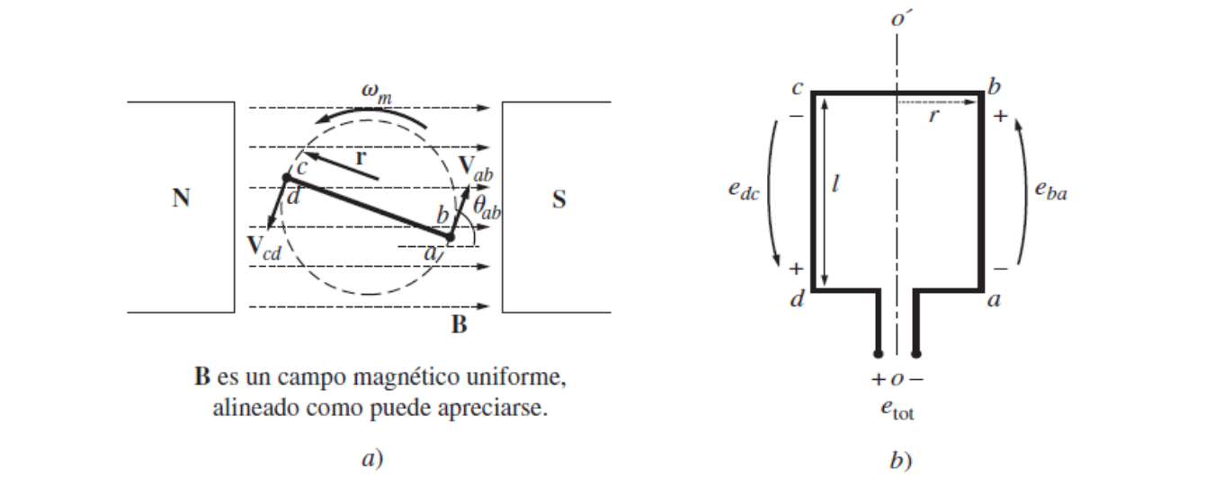 Solved The simple loop rotating in a magnetic field, which | Chegg.com