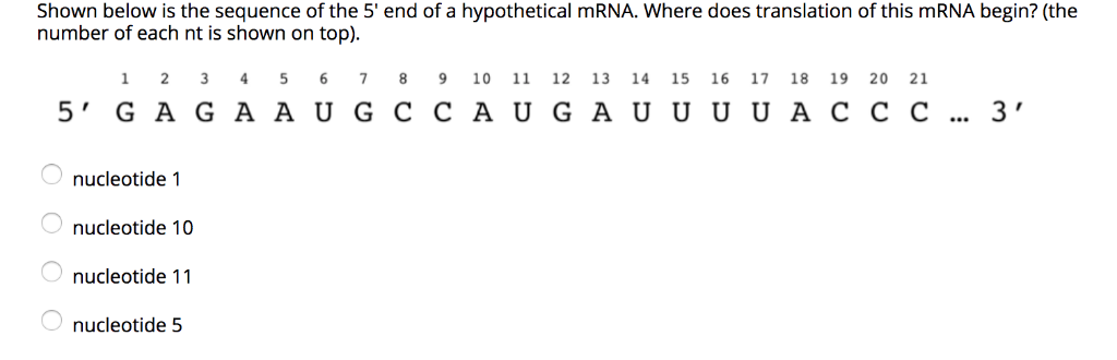 Solved Shown below is the sequence of the 5' end of a | Chegg.com