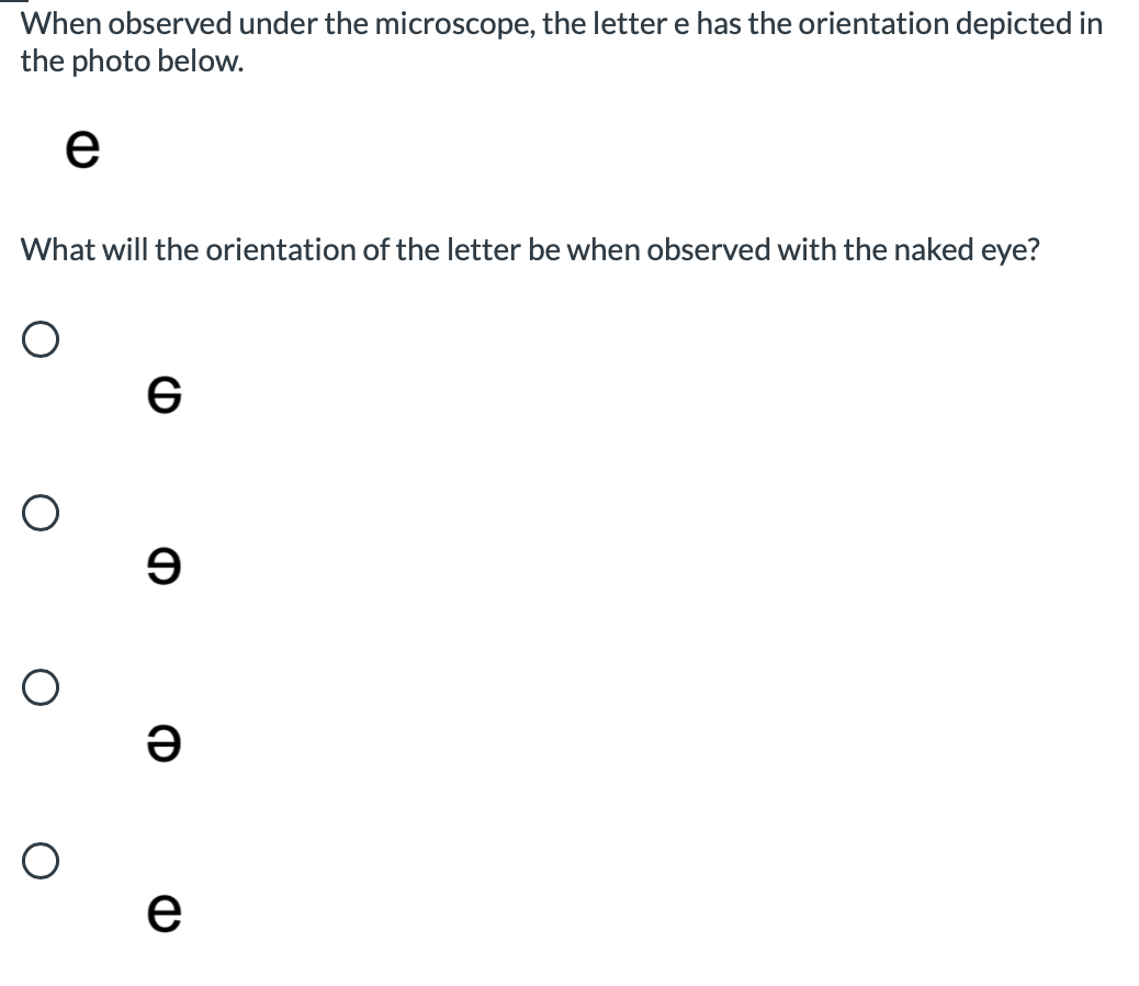 Solved When observed under the microscope, the letter e has