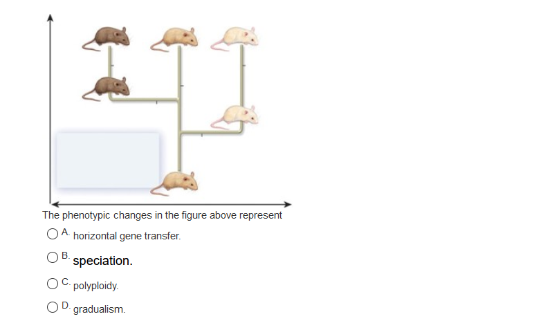 Solved The phenotypic changes in the figure above represent | Chegg.com