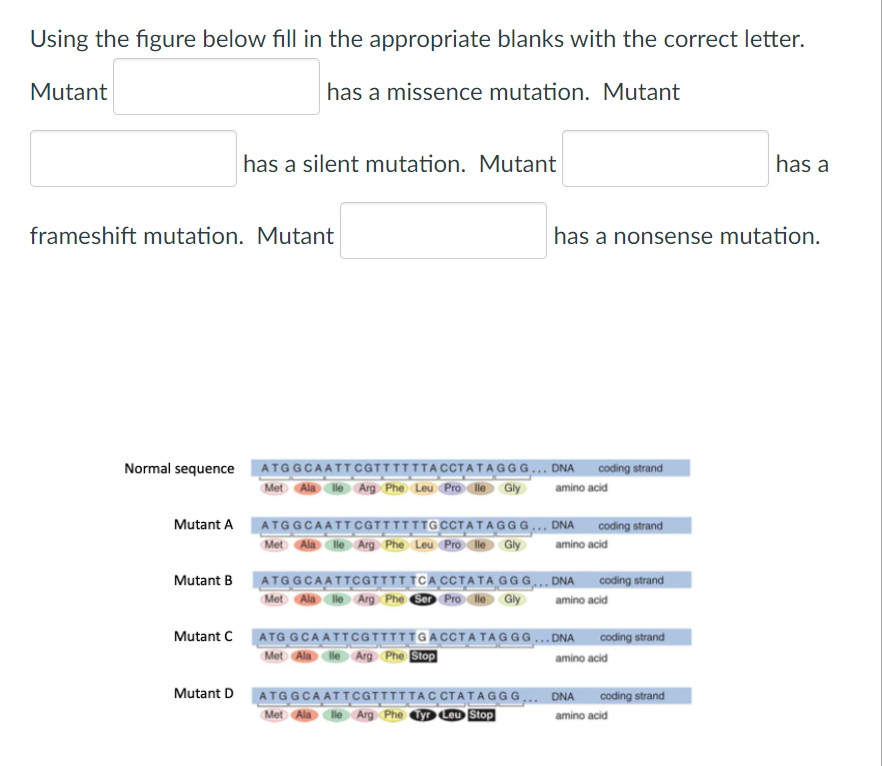 Solved (a) What type of point mutation (transition or