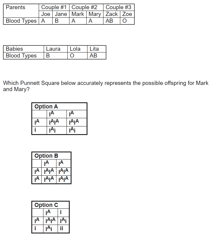 Solved Which Punnett Square below accurately represents the | Chegg.com