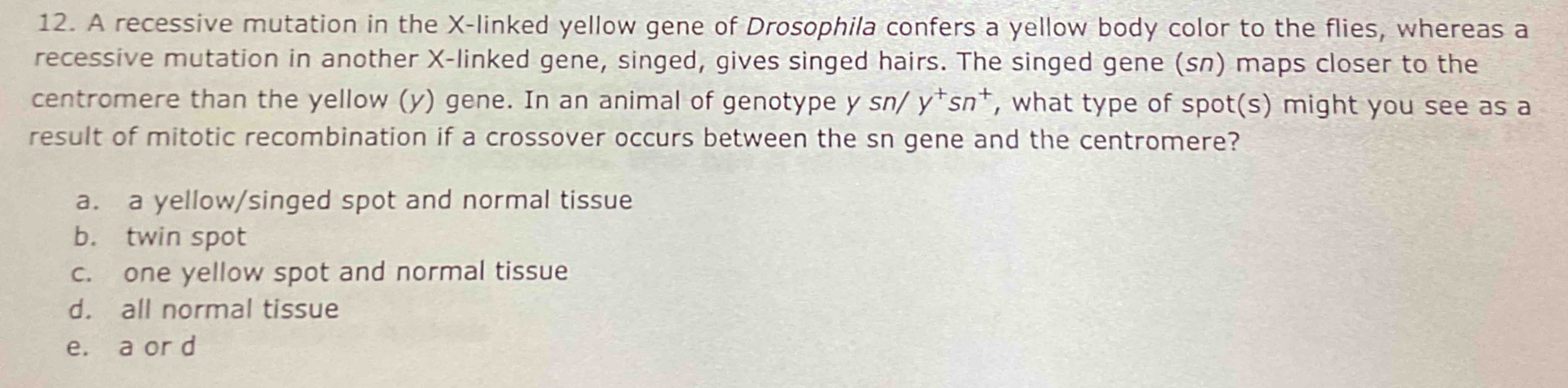 Solved A recessive mutation in the x-linked yellow gene of | Chegg.com