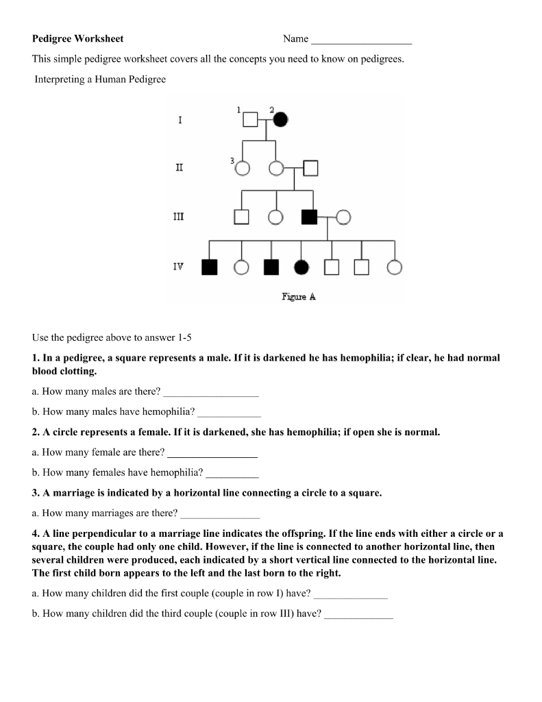 Solved Pedigree Worksheet Name This Simple Pedigree 