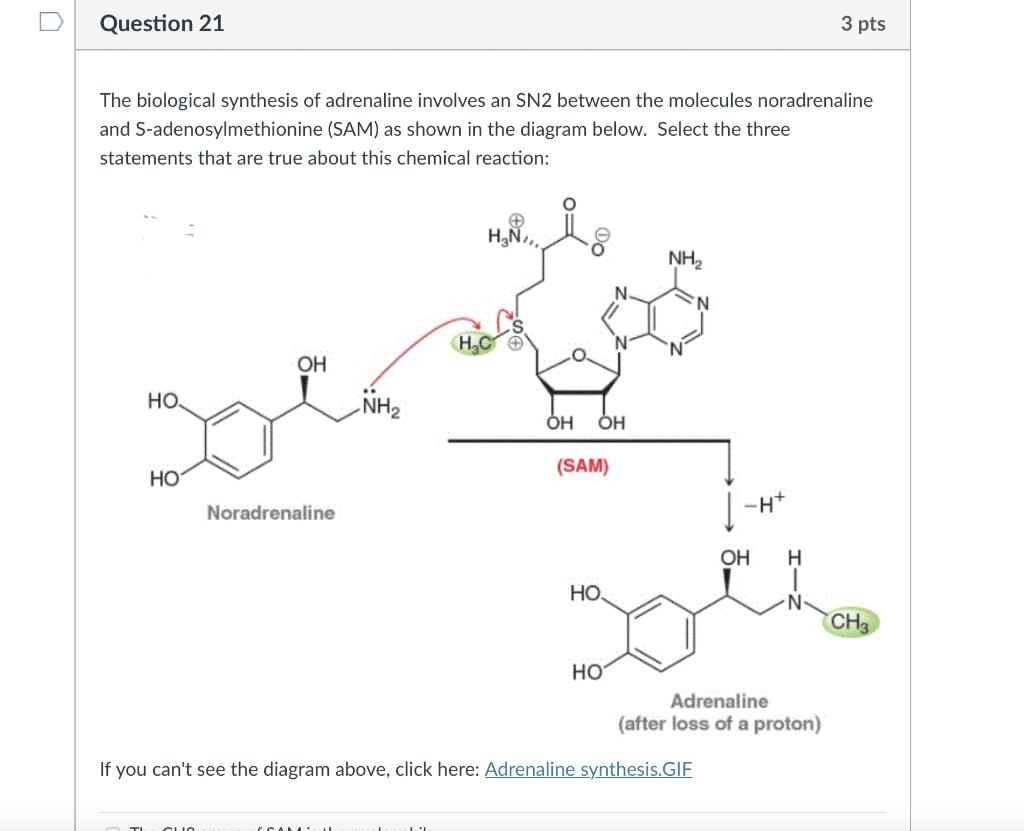 Dopamine Synthesis SNPs: Genes, lifestyle, diet, and dopamine optimization, image size:1024x831