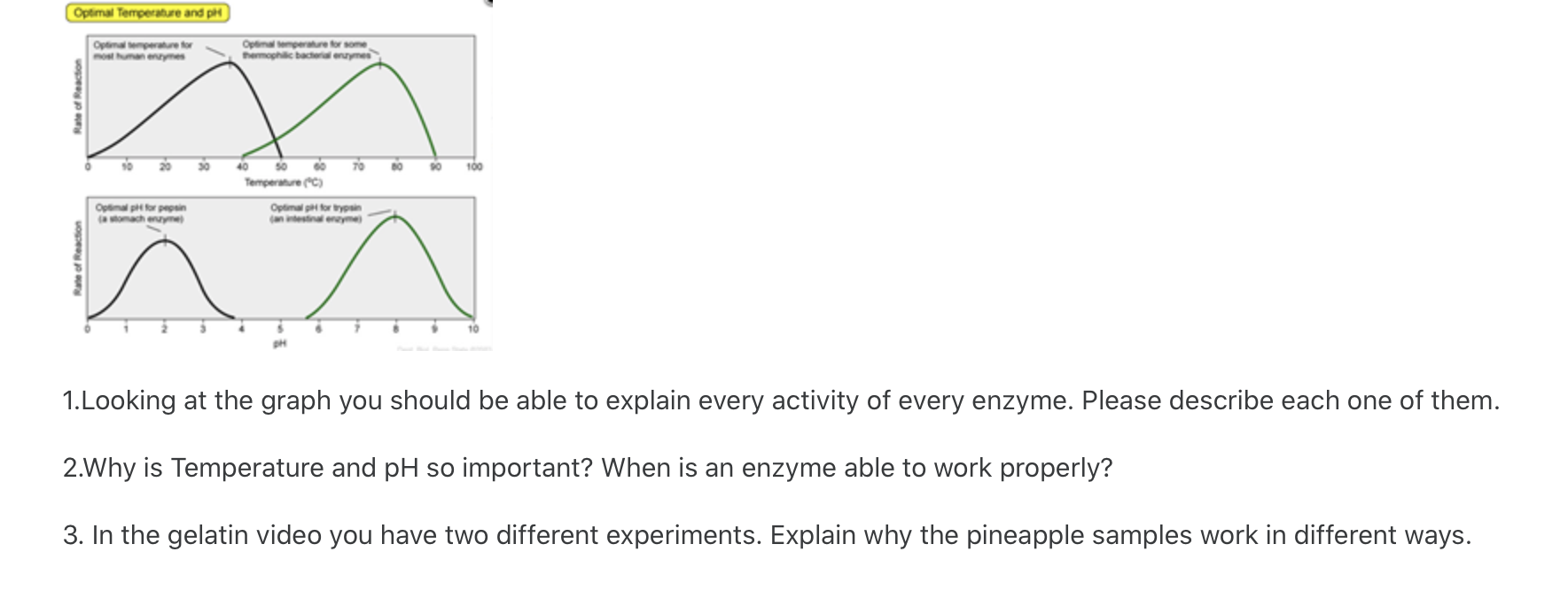 solved-optimal-temperature-for-typical-human-enzyme-optimal-chegg