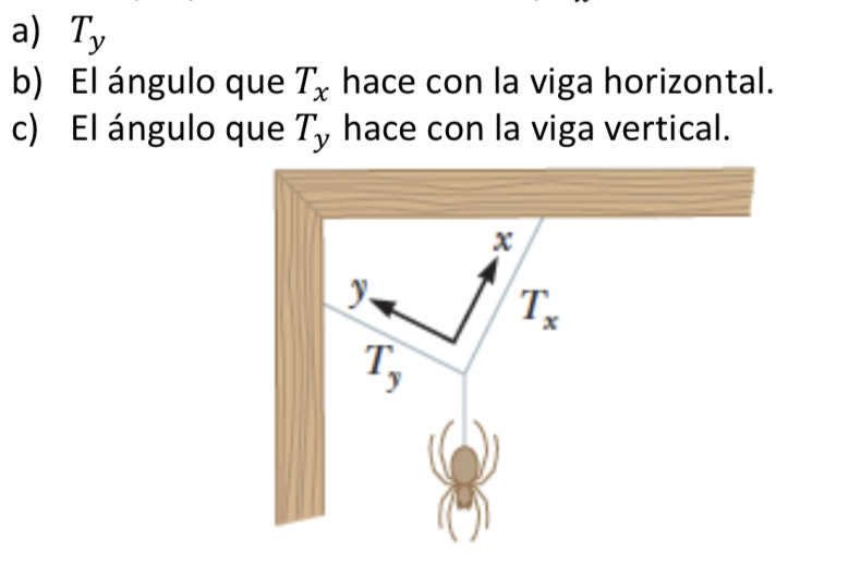 Solved A spider is hanging from the ceiling as shown in the | Chegg.com