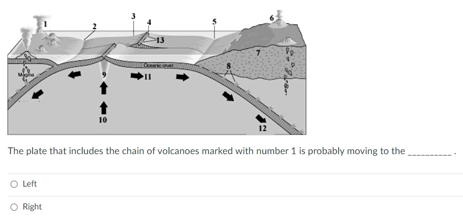 Solved The biggest earthquake in the world recently was a | Chegg.com