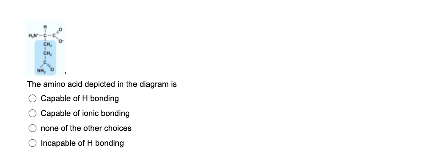 Solved H H.N-C-C CH, CH С NH, O The Amino Acid Depicted In | Chegg.com