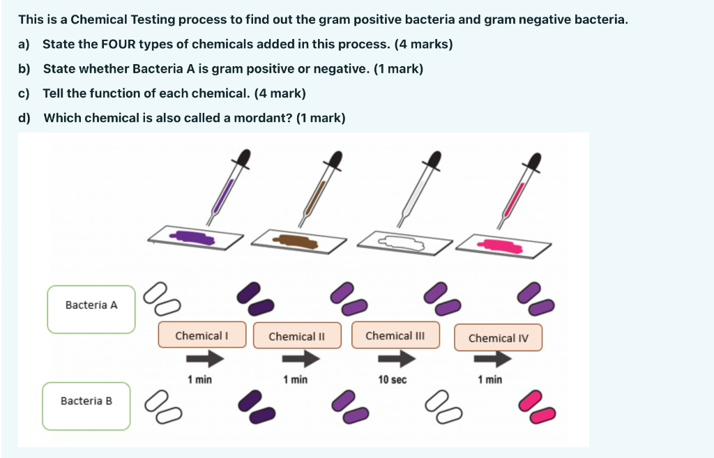 Solved This is a Chemical Testing process to find out the | Chegg.com