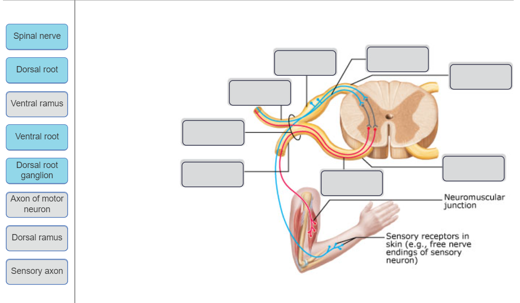 student submitted image, transcription available below