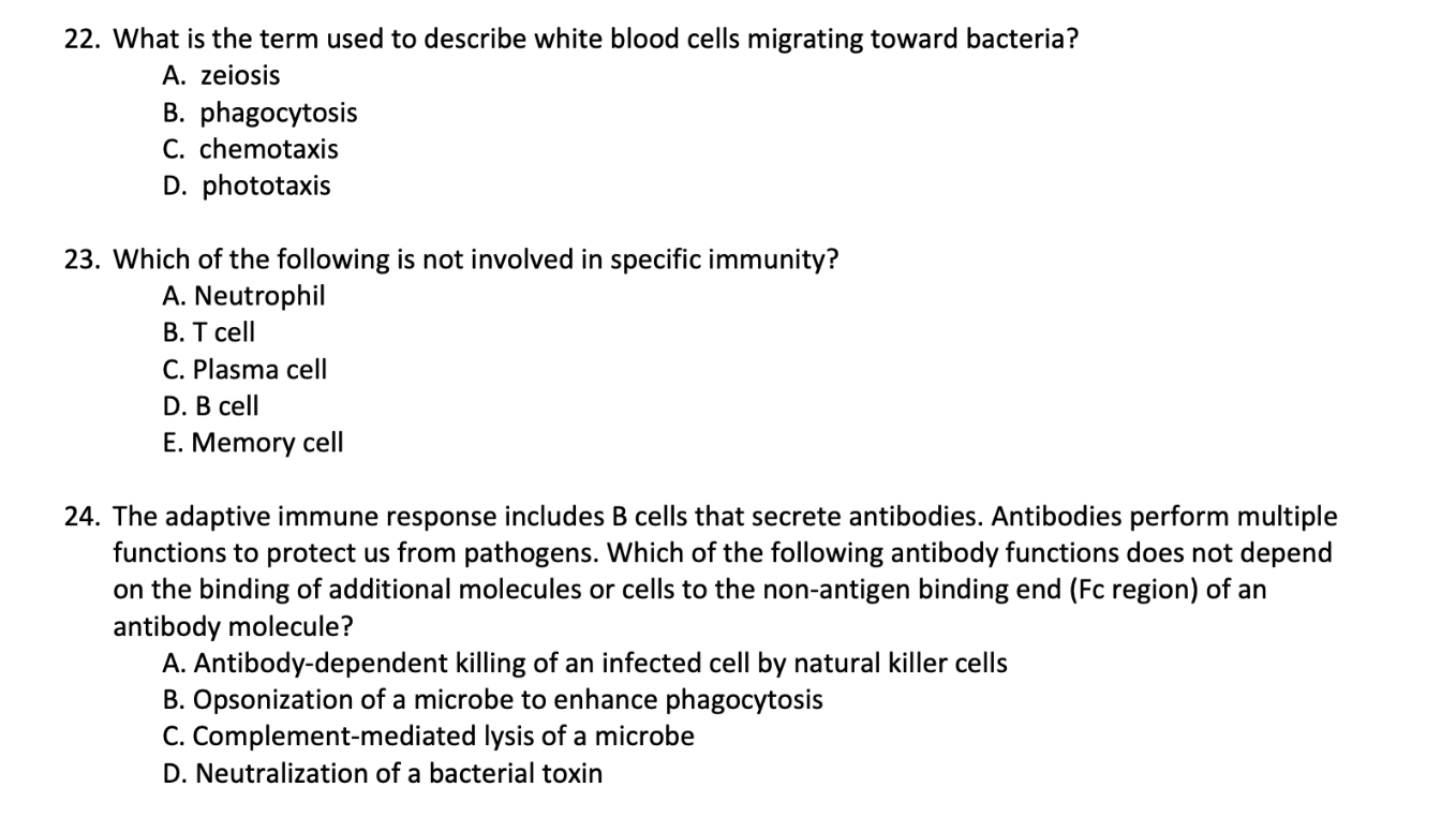 Solved 22. What is the term used to describe white blood | Chegg.com