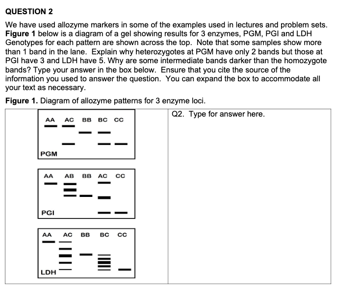 Allozyme Pattern Solved QUESTION 2 We have used allozyme markers in some of | Chegg.com