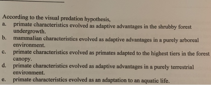 definition of visual predation hypothesis