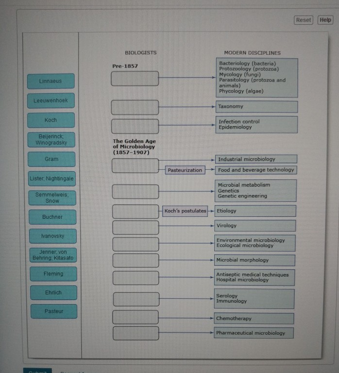 Solved Reset Help BIOLOGISTS MODERN DISCIPLINES Pre-1857 | Chegg.com
