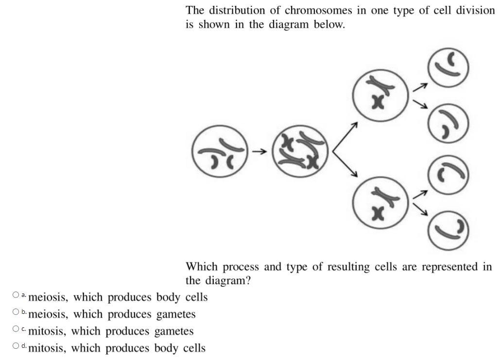 Solved the distribution of chromosomes in one type of cell | Chegg.com