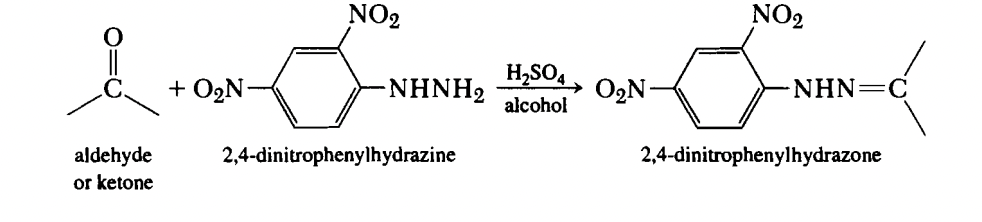 2 4 dnp derivative formula