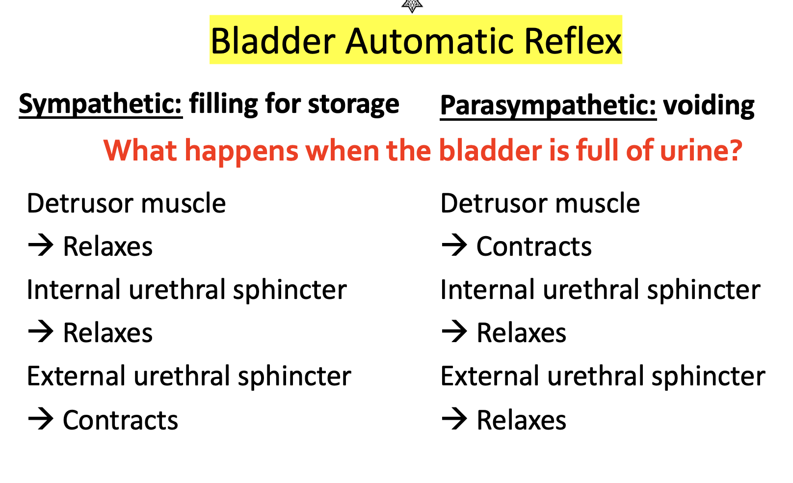 Solved Bladder Automatic Reflex Sympathetic filling for