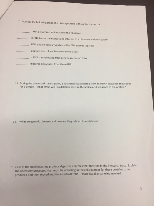 Solved 10. Number the following steps of protein synthesis | Chegg.com