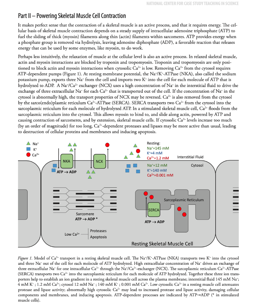 national center for case study teaching in science asthma attack