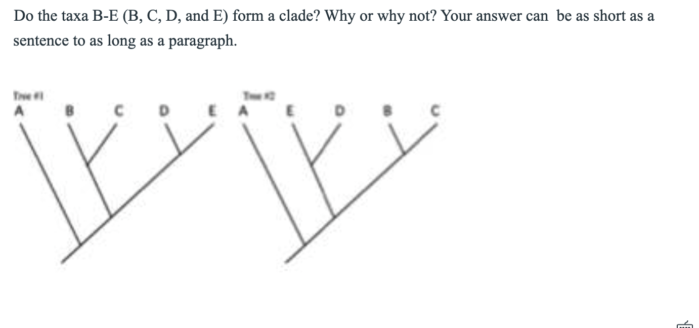 Solved Do the taxa B-E (B, C, D, and E) form a clade? Why or | Chegg.com