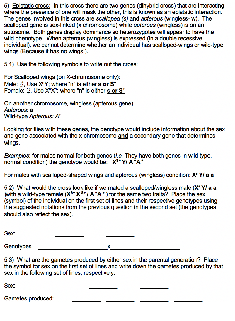 Solved 5) Epistatic Cross: In This Cross There Are Two Genes | Chegg.com