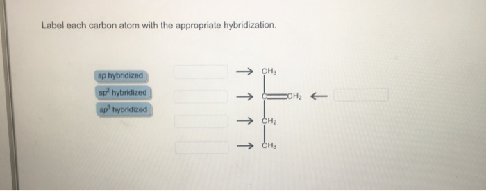 Solved Label each carbon atom with the appropriate | Chegg.com