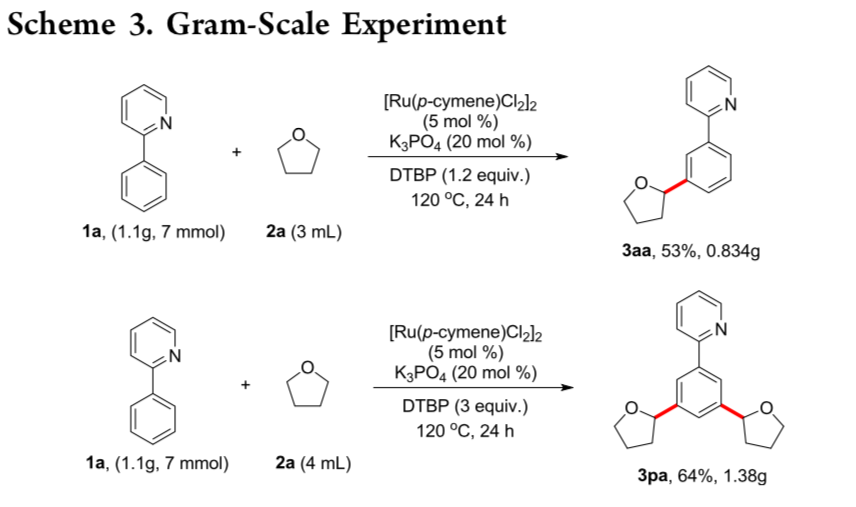 EXPLAIN GRAM SCALE EXPERIMENTS DRAW AND EXPLAIN THE