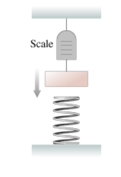 Solved A 7.2 kg mass hanging from a spring scale is slowly | Chegg.com