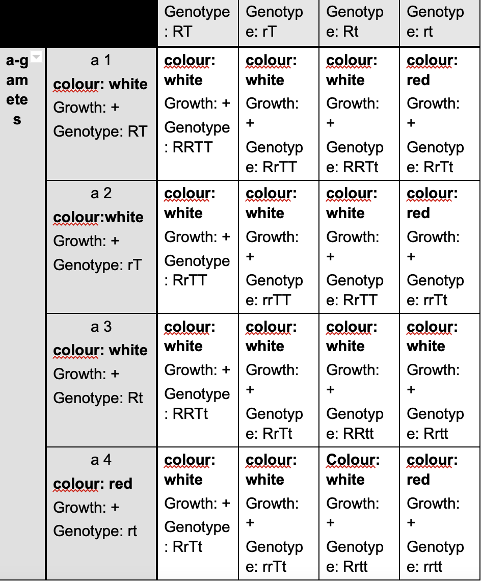 Solved List the genotypes that would give rise to the | Chegg.com