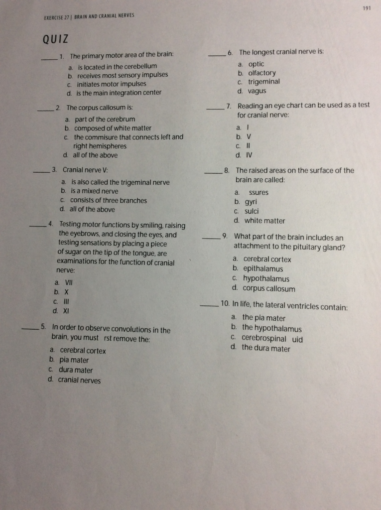 Solved 191 EXERCISE 27, BRAIN AND CRANIAL NERVES QUIZ 1.