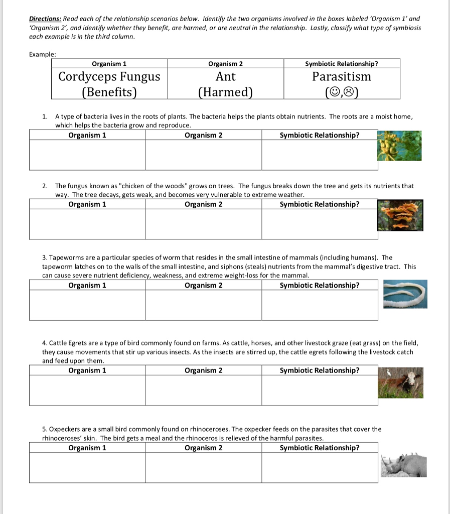 Symbiotic Relationships Worksheet Answers 1996