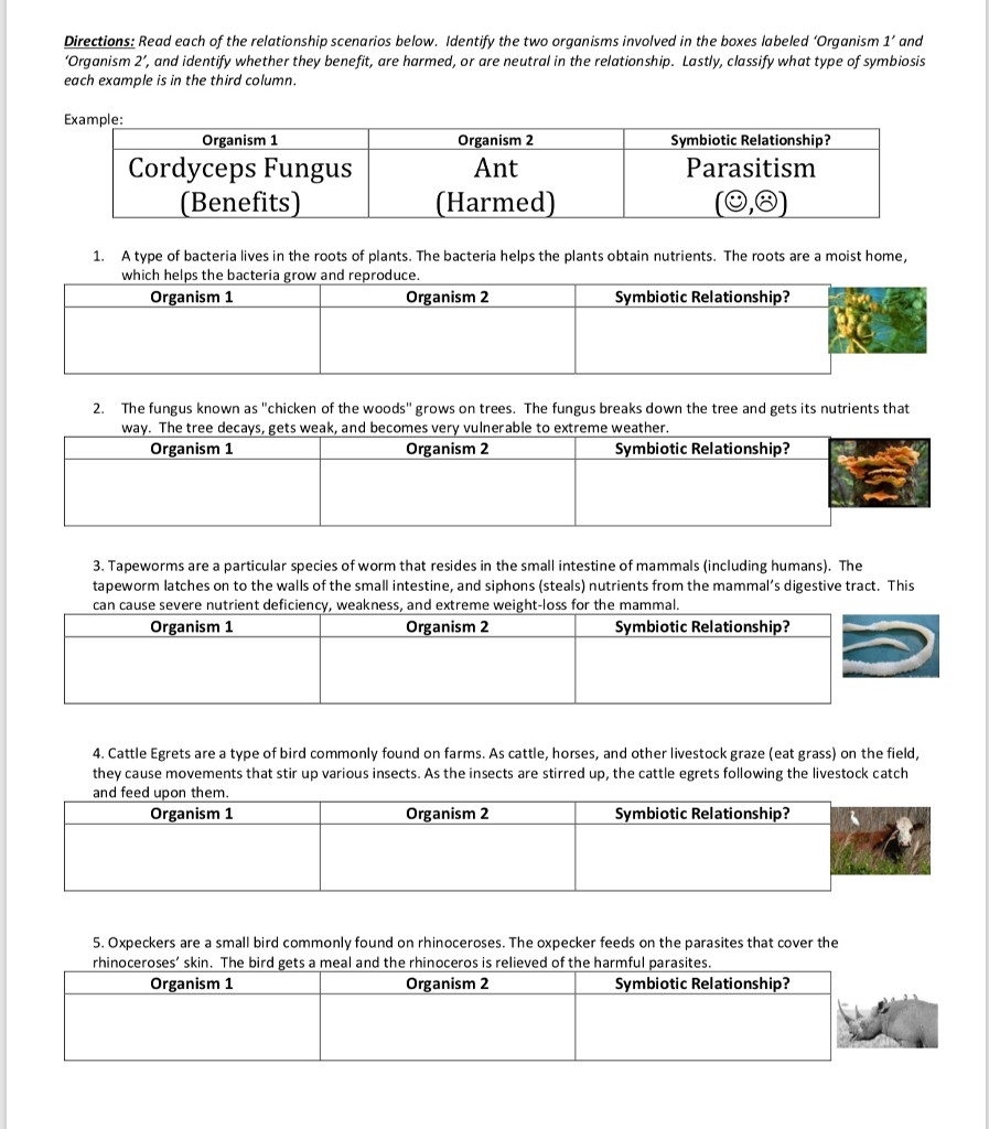 Symbiotic Interactions Worksheet Answers