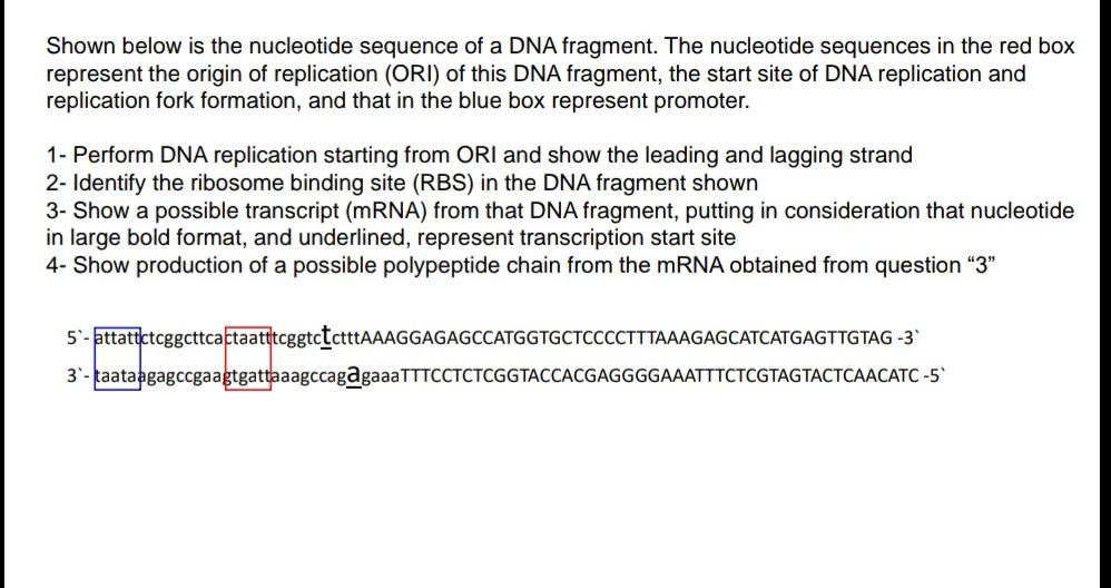 Solved Shown below is the nucleotide sequence of a DNA | Chegg.com