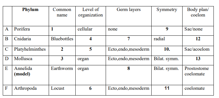\begin{tabular}{|l|l|c|c|c|c|c|}
\hline & \multicolumn{1}{|c|}{ Phylum } & Common name & Level of organization & Germ layers 
