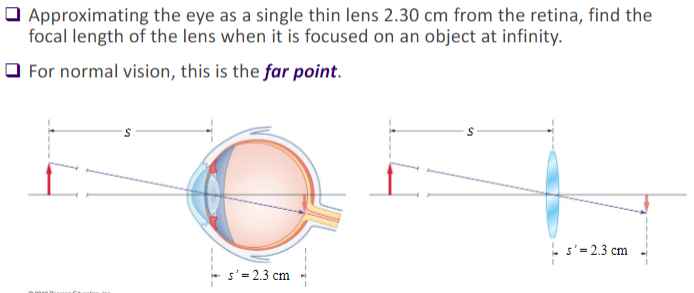 far point of eye