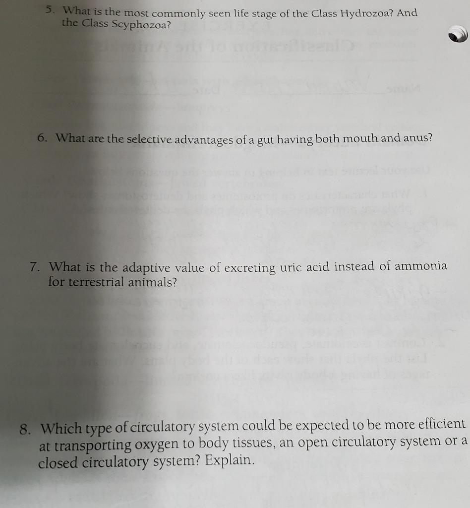 Solved 5. What is the most commonly seen life stage of the | Chegg.com