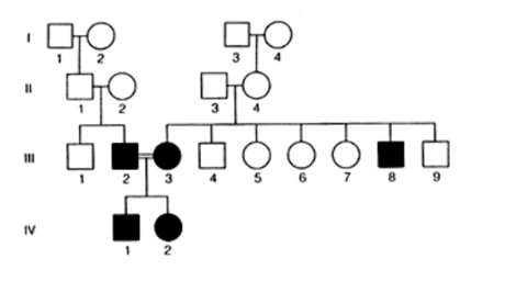 Solved For this pedigree (modes: X-linked Dominant, | Chegg.com