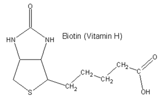 Biotin (vitamin h) nh hn ch2. ch2ch2 -ch2 ??