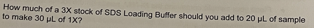 Solved How much of a 3X stock of SDS Loading Buffer should | Chegg.com