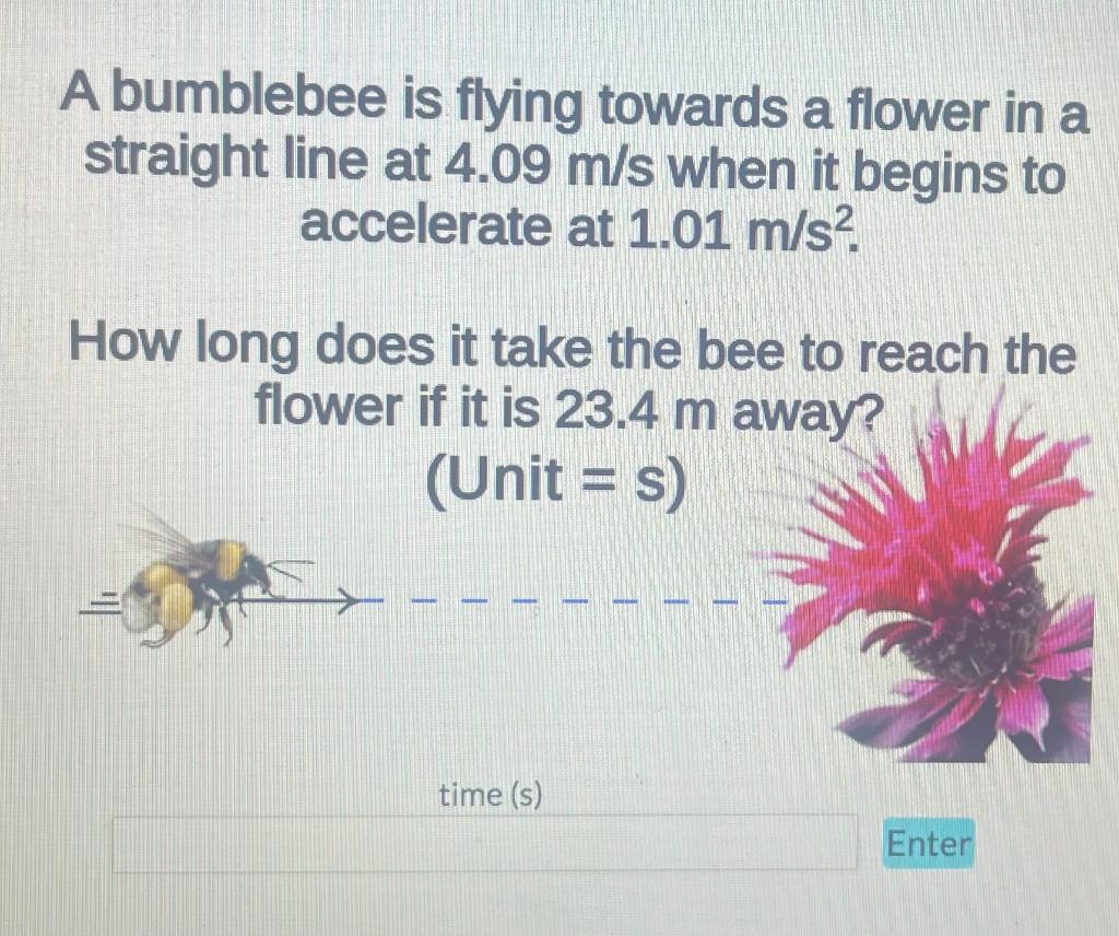 Solved A bumblebee is flying towards a flower in a straight | Chegg.com