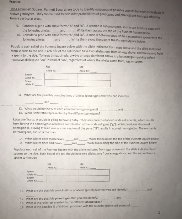 Solved Practice Using a Punnett Square. Punnett Squares are | Chegg.com